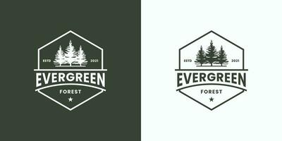 vintage badge evergreen with hexagon frame logo design retro vector