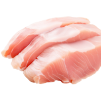 Slice of fresh turkey meat fillet on a transparent background. png