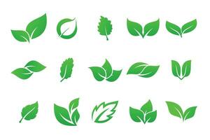 set of green leaf icon logo design template. vector