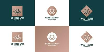 luxury roes flower logo design for florist vector