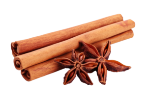 AI generated Cinnamon stick isolate on transparent background. png
