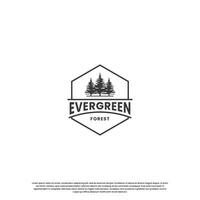 evergreen logo design vintage. pine tree logo in vintage badge. vector