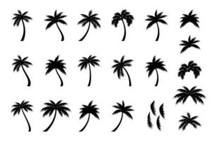 Coco árbol silueta icono, palma árbol silueta vector recopilación.