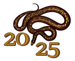 2025. Chinese year of snake. Bright isolated illustration vector