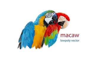 Polygon Graphics two bird macaw parrot isolated on a white background vector illustration