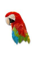 Polygon Graphics Red and green color macaw parrot isolated on a white background vector illustration