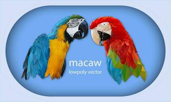 Polygon Graphics two bird macaw parrot vector illustration