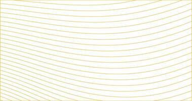 abstract white background with gold lines vector