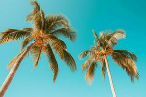 AI generated Exotic Tropical palm trees view. Generate Ai photo