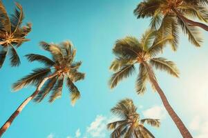 AI generated Tropical palm trees view. Generate Ai photo
