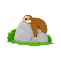 Cartoon funny sloth character resting on stone vector