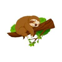 Cartoon sloth character slumbers on tree branch vector