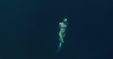 donna apneista con pinne nuoto su in profondità oceano. apnea nel chiaro blu oceano video