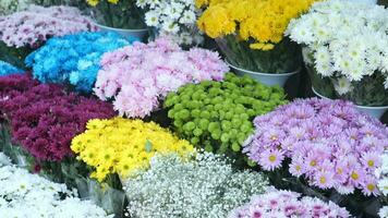 flower shop in istanbul, flower display for selling at street shop , video