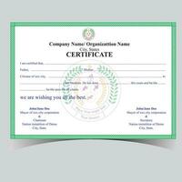 Normal and professional certificate design vector