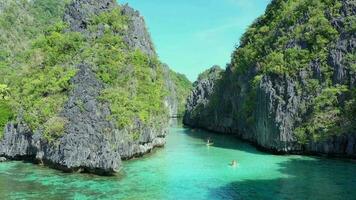 aéreo Visão do grande lagoa dentro a Filipinas video