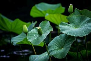 AI generated Lush Lotus leaves buds. Generate Ai photo