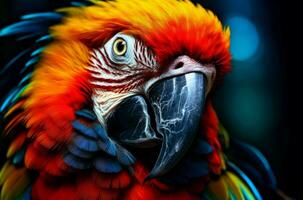 AI generated Exotic Macaw parrot colorful. Generate Ai photo