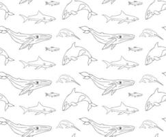 Vector seamless pattern of whales and sharks