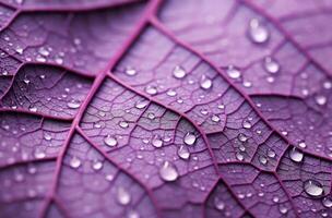 ai generado macro púrpura hoja agua gotas. generar ai foto