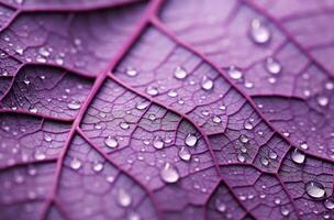 AI generated Macro purple leaf water drops. Generate Ai photo