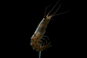 AI generated Sea shrimp on black background. Generate Ai photo