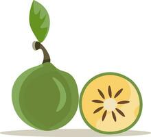 a green fruit with a slice cut out of it vector