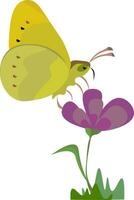 yellow butterfly on purple flower vector