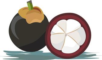 an illustration of a mangosteen fruit vector