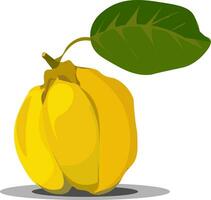 a yellow fruit with green leaves on it vector