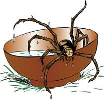 a spider in a bowl with water vector