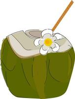 coconut water clipart vector