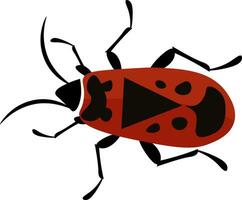 a ladybug with black spots on its back vector