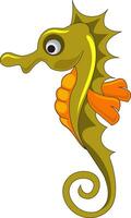 Isolated Seahorse, illustration vector