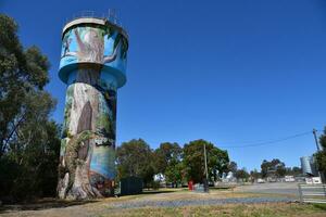 Walla Walla, New South Wales, Australia. - 17 Dec 2023. - The Walla Walla Water Tank Art was painted by Damien Mitchell over three weeks in April and May 2022. photo