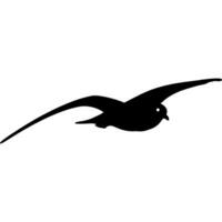 flying seagull in black vector