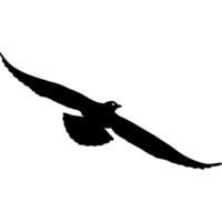 flying seagull in black vector