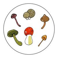 Vector color drawing of toadstool mushrooms hand drawn in cartoon style. Set of doodle toadstools in color on a white background in a circle. Decoration for dishes, textiles.