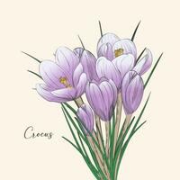 Hyacinth flower delicate hand illustration. Element for design, greeting card vector