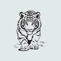 Tigre imagen vector