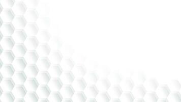 Abstract white and gray color background with geometric hexagonal shape. Vector illustration.