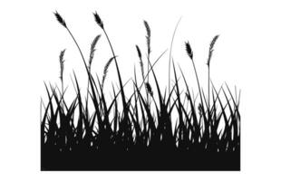 A Grass vector black Silhouette isolated on a white background