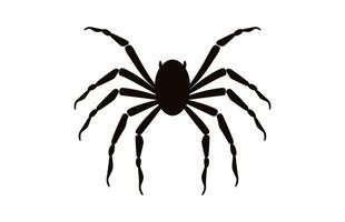 A Spider vector black silhouette isolated on a white background