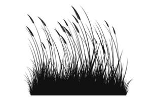 A Grass vector black Silhouette isolated on a white background