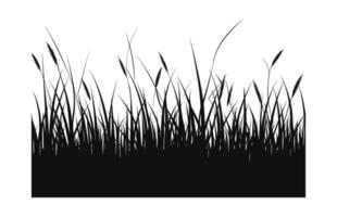 A Grass vector Silhouette isolated on a white background