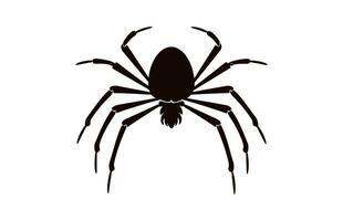 A Spider vector black silhouette isolated on a white background