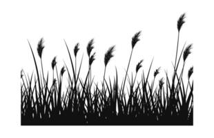 A Grass vector black Silhouette isolated on a white background