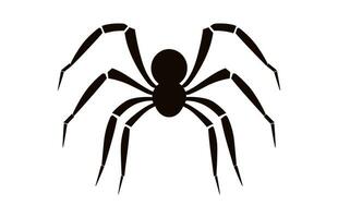 A Spider vector black silhouette isolated on a white background