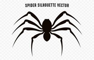 A Spider vector black silhouette isolated on a white background