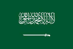 The national flag of Saudi Arabia vector illustration with official color